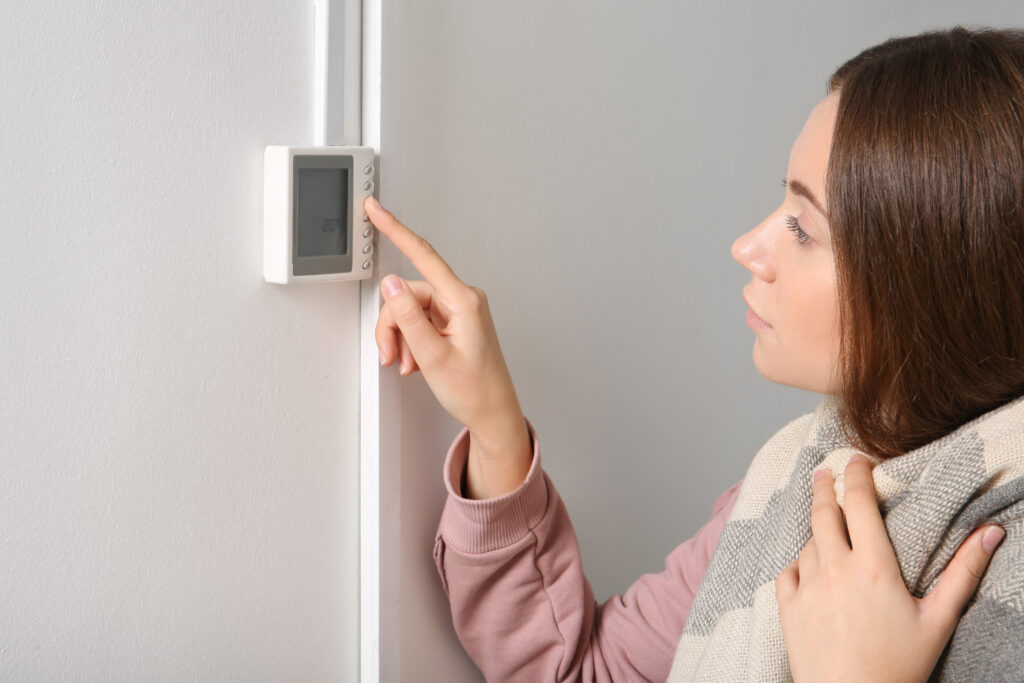 Thermostat Repair